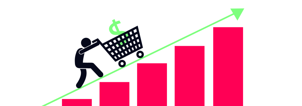 Top 15 U.S. Companies in Retail E commerce Sales Growth